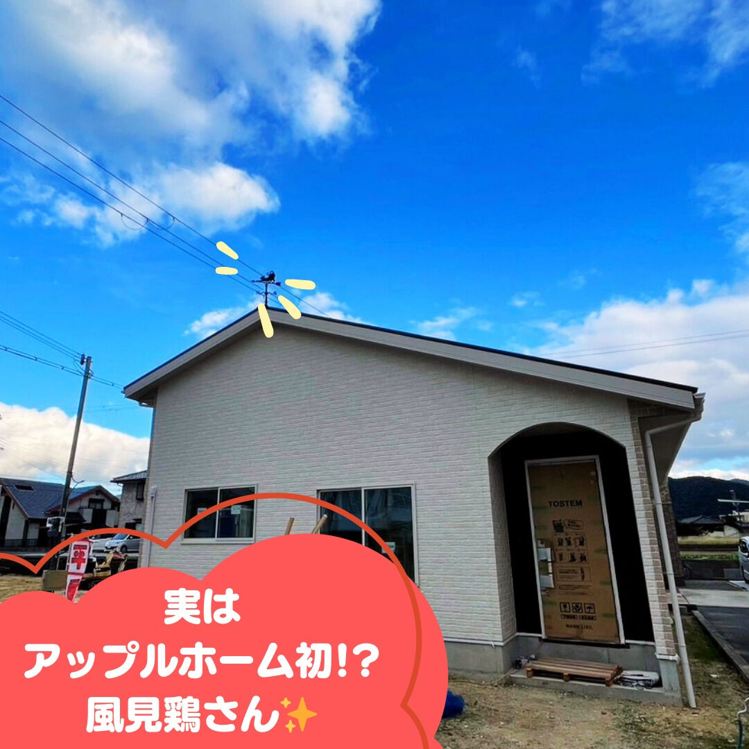 実はアップルホーム史上初⁉️