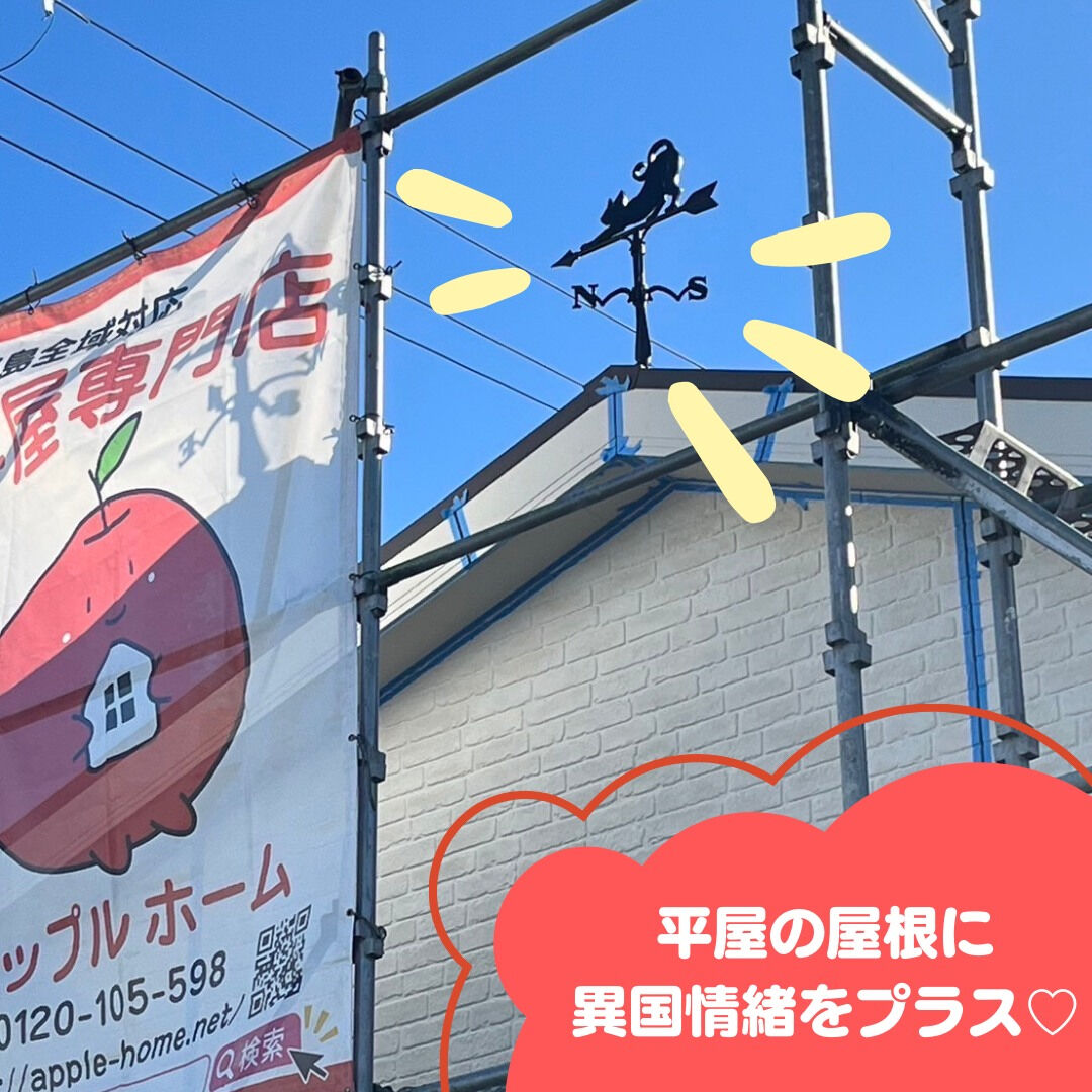 実はアップルホーム史上初⁉️